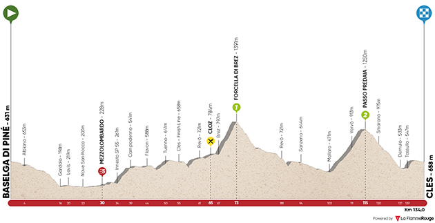 Stage 4 profile